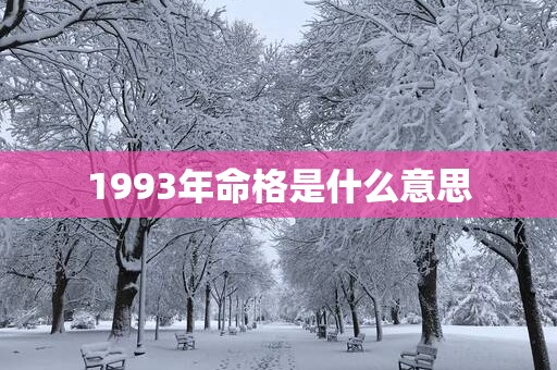 1993年命格是什么意思