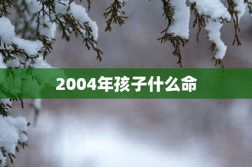 2004年孩子什么命