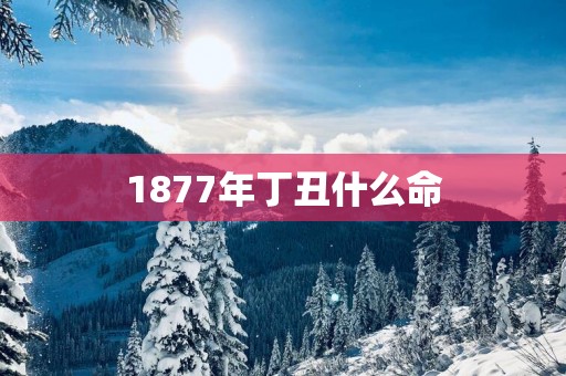 1877年丁丑什么命