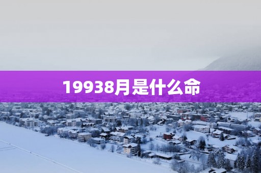 19938月是什么命