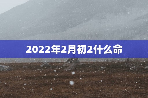 2025年2月初2什么命