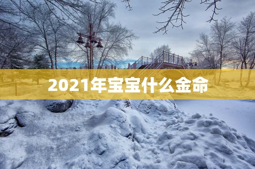 2025年宝宝什么金命