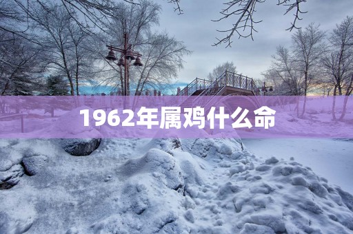 1962年属鸡什么命