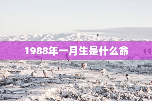 1988年一月生是什么命