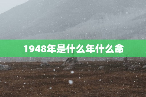 1948年是什么年什么命
