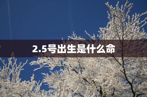 2.5号出生是什么命