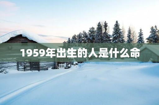1959年出生的人是什么命