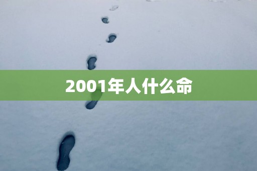 2001年人什么命
