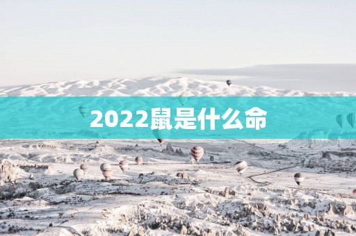 2025鼠是什么命