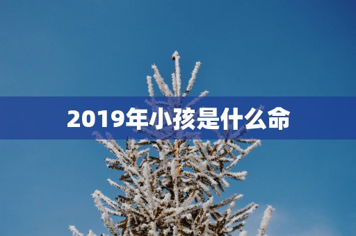 2019年小孩是什么命