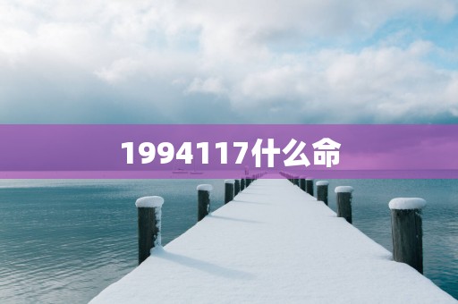 1994117什么命