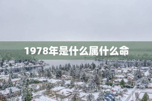 1978年是什么属什么命
