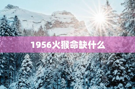 1956火猴命缺什么