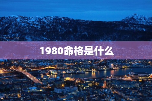 1980命格是什么