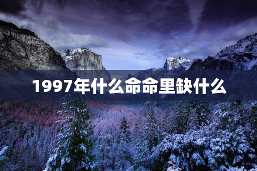 1997年什么命命里缺什么