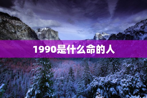 1990是什么命的人
