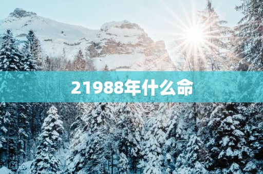 21988年什么命