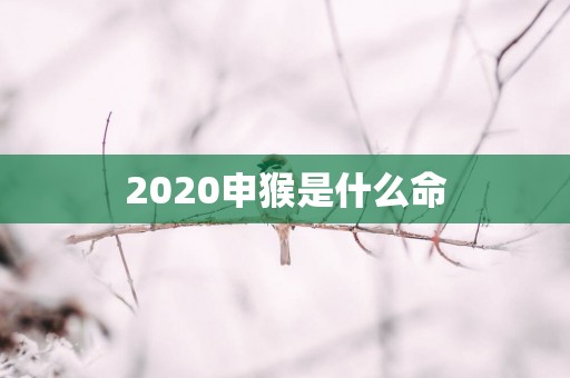 2025申猴是什么命