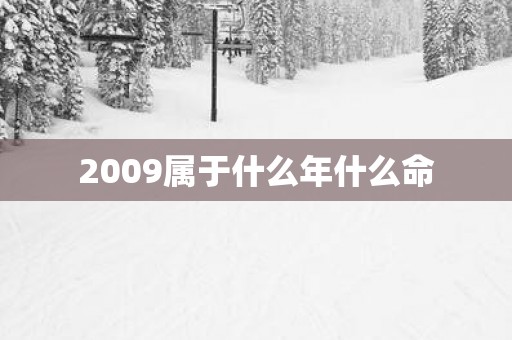 2009属于什么年什么命