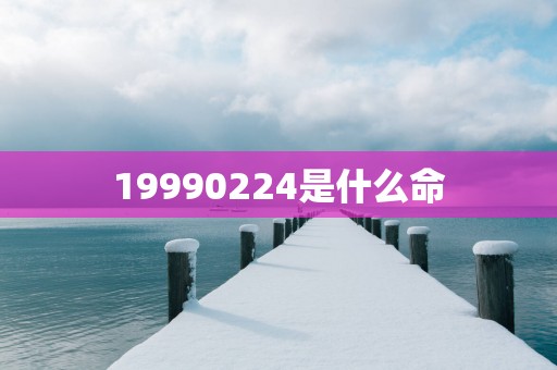 19990224是什么命