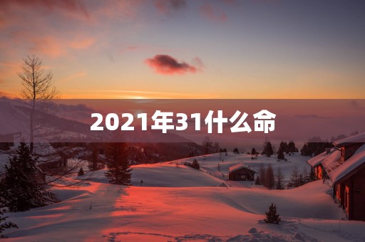 2025年31什么命 2025年31什么命