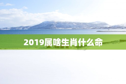 2019属啥生肖什么命