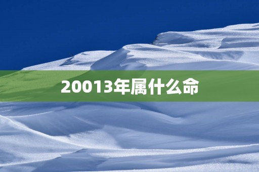 20013年属什么命