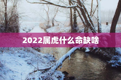 2025属虎什么命缺啥