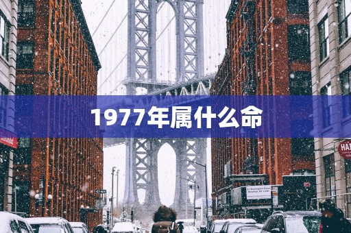 1977年属什么命