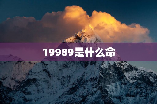 19989是什么命