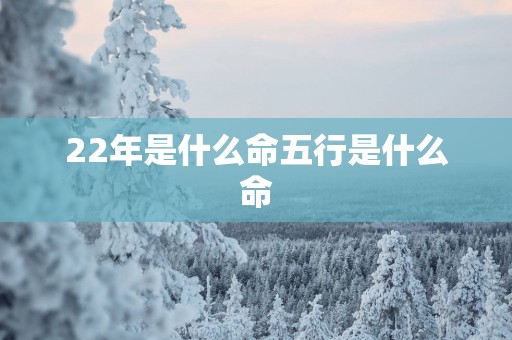 22年是什么命五行是什么命