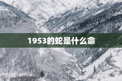 1953的蛇是什么命