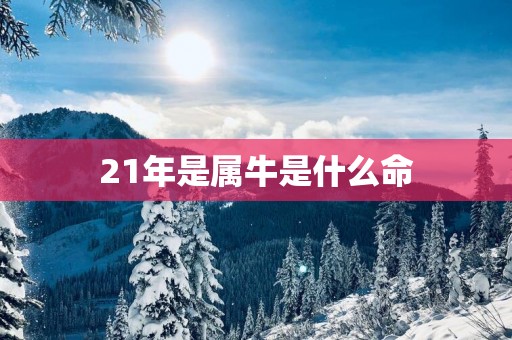 21年是属牛是什么命