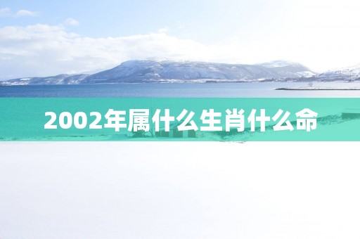 2002年属什么生肖什么命