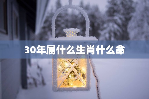 30年属什么生肖什么命