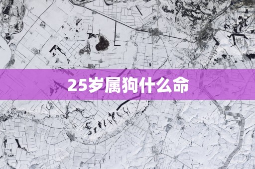 25岁属狗什么命