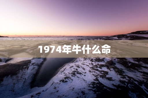 1974年牛什么命