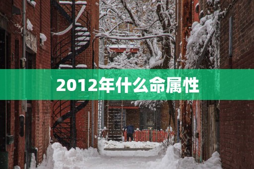 2012年什么命属性
