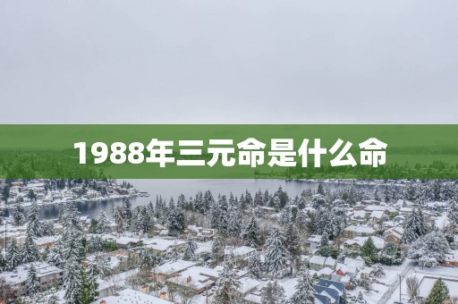 1988年三元命是什么命