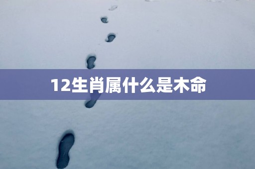 12生肖属什么是木命