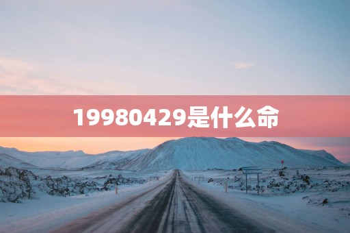 19980429是什么命 19980429是什么命