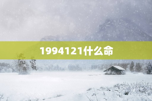 1994121什么命