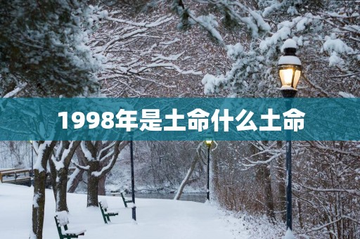 1998年是土命什么土命