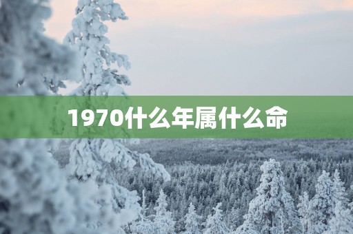 1970什么年属什么命