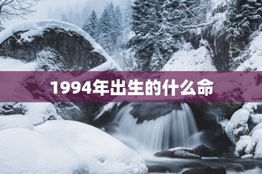 1994年出生的什么命