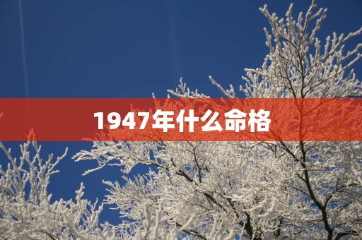 1947年什么命格