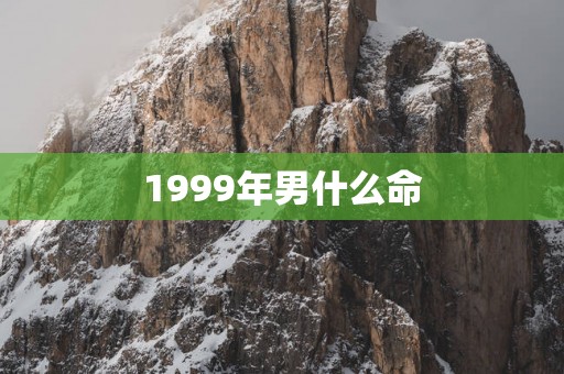 1999年男什么命