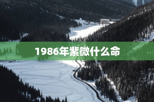 1986年紫微什么命