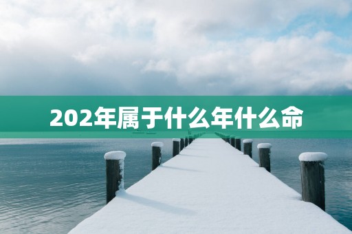 202年属于什么年什么命