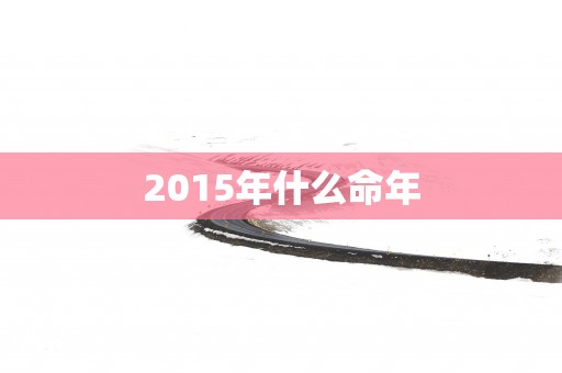 2015年什么命年